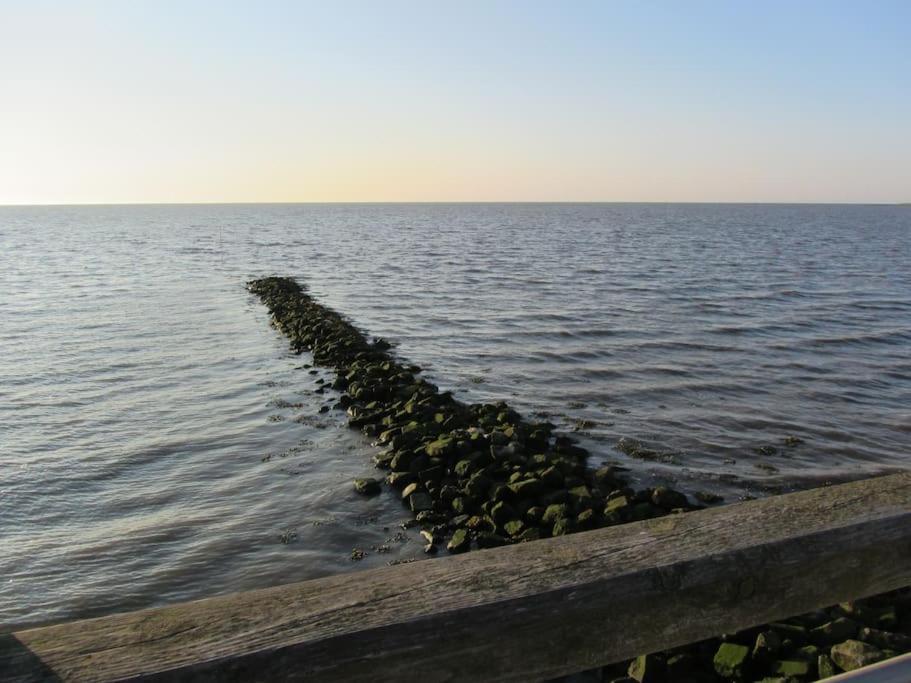 Nordsee Und Natur. Gemuetliche Fewo Mit Deichblick Dorumer Neufeld Eksteriør bilde