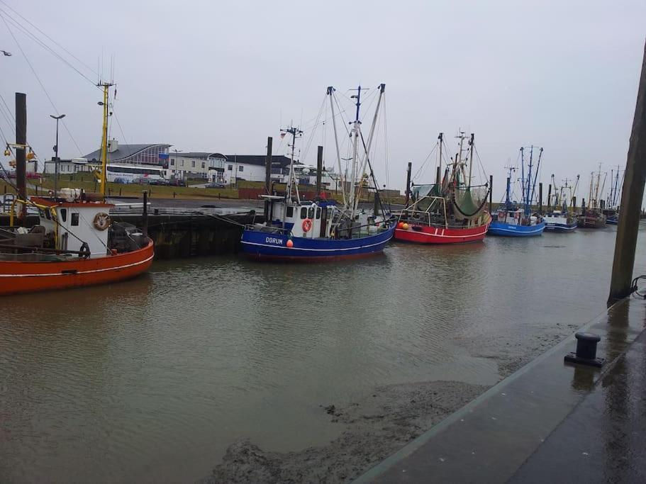 Nordsee Und Natur. Gemuetliche Fewo Mit Deichblick Dorumer Neufeld Eksteriør bilde